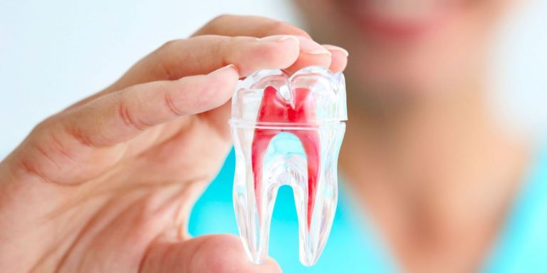 Endodonzia